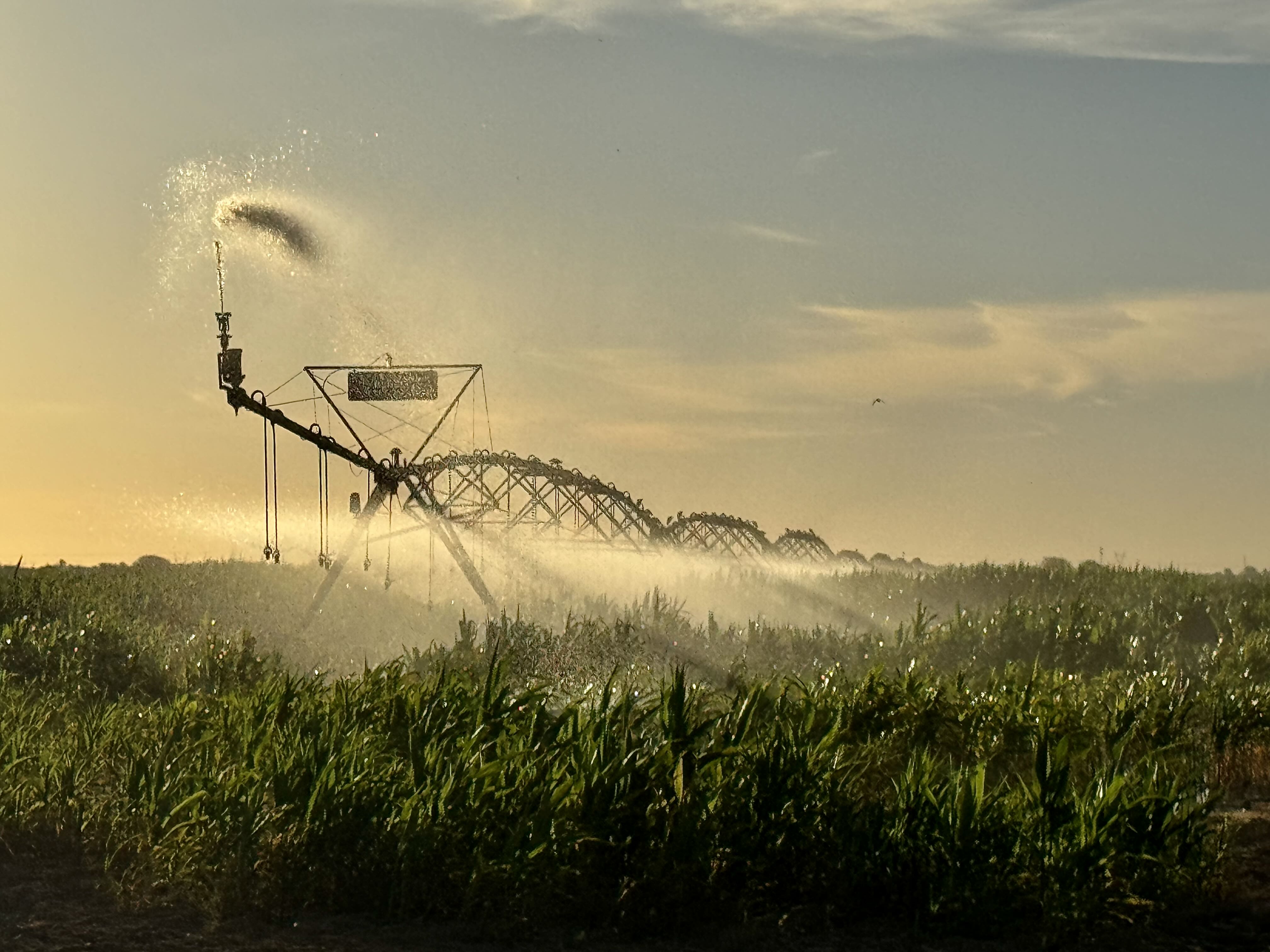 Système d'irrigation pivot au lever du soleil dans les champs de maïs de Thiambène